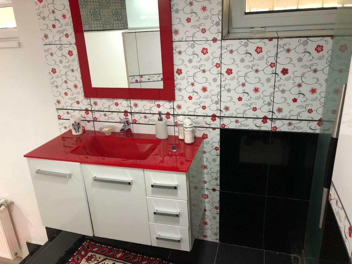 コンスタンツァOzana Apartamentアパートメント エクステリア 写真
